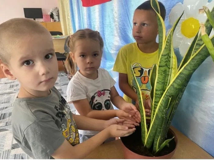 капля-07